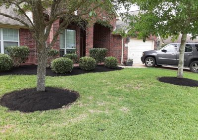 Landscaping in Alvin, TX