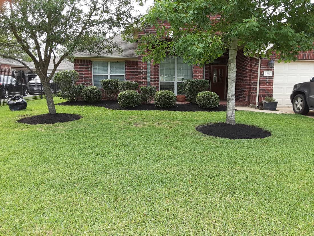 Landscaping in Alvin, TX Landscaping