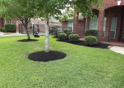 Professional Landscaping in Alvin, TX