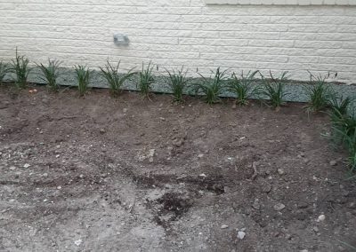 Trusted Flower Bed Maintenance