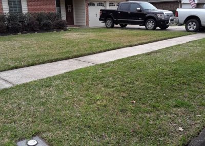 Trusted Lawn Care
