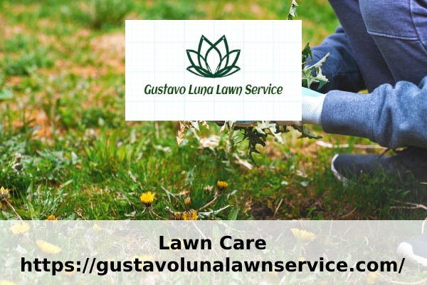 Quality Lawn Care in Alvin, TX Dependable Lawn Care in Alvin, TX