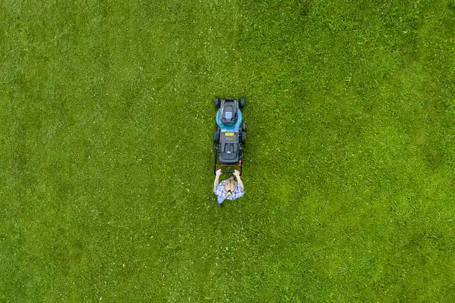Lawn Care Service