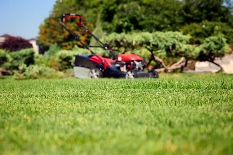 Lawn Mowing Service