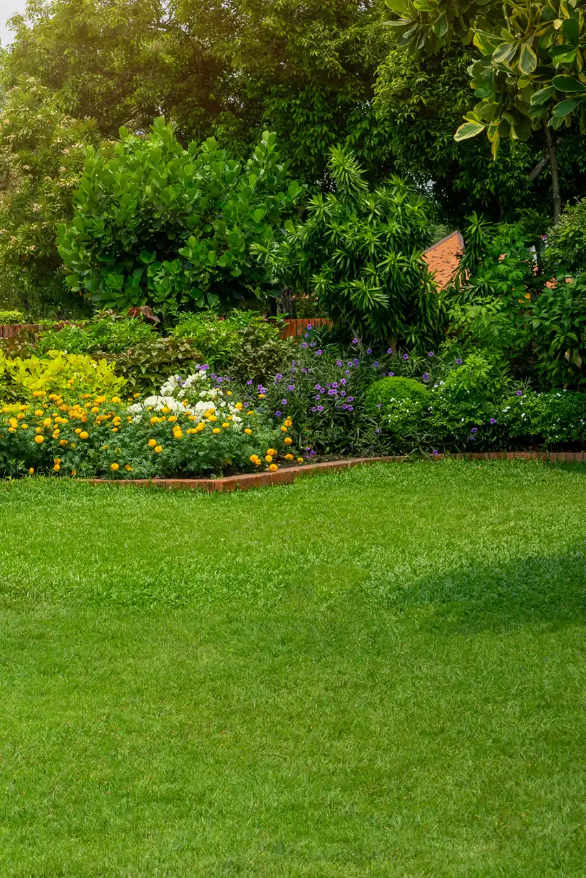 Dedicated Landscaper